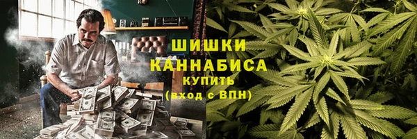 ПСИЛОЦИБИНОВЫЕ ГРИБЫ Балабаново