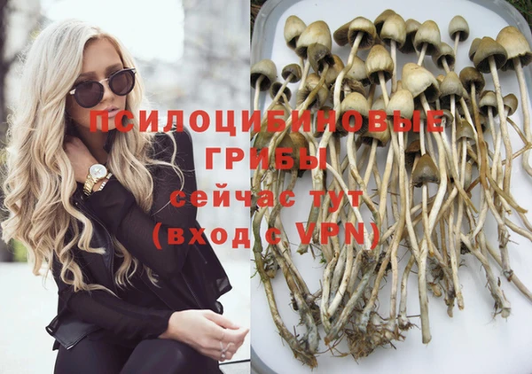 бутират Баксан